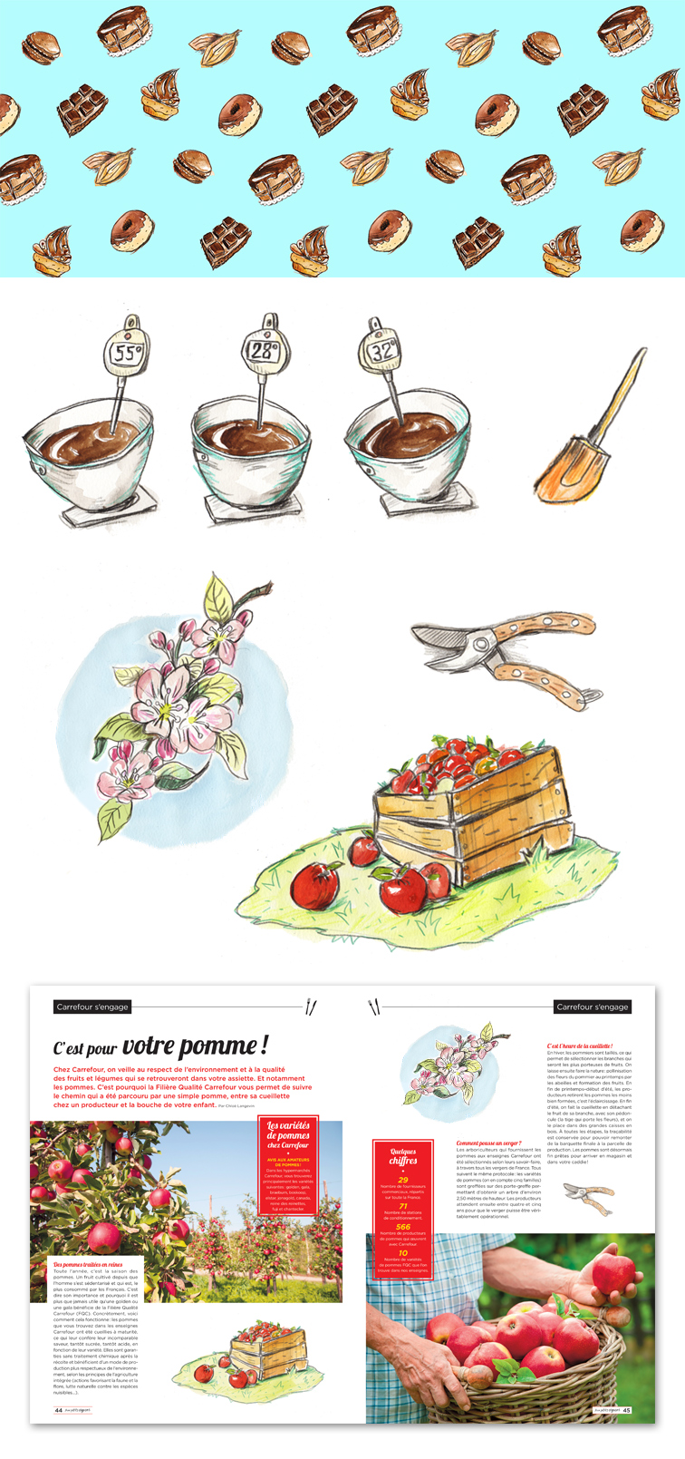 illustration de nouriture, patisserie, chocolat et pommes